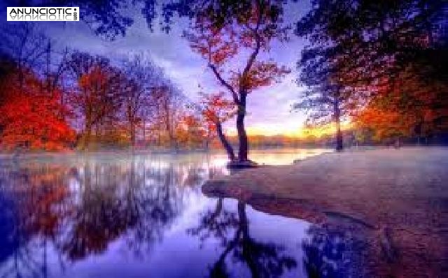 &iquest;buscas respuestas ll&aacute;mame y te las asegurar&eacute;