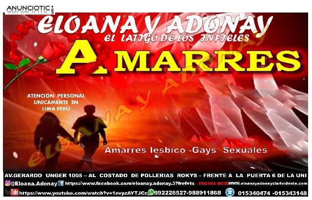 AMARRES GAYS EFECTIVOS Y R&Aacute;PIDOS  