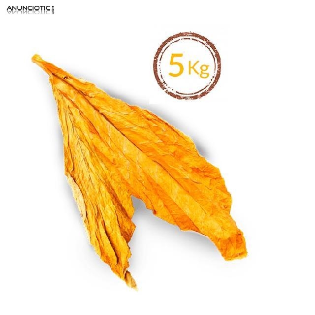 Gold Lemon/Medium/Burley desde12� kg 633438735