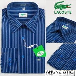 � 18 s&uml;&reg;lo para el D&G,LACOSTE de manga larga