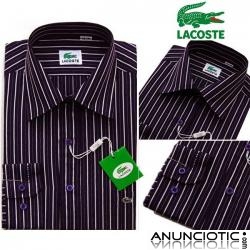 � 18 s&uml;&reg;lo para el D&G,LACOSTE de manga larga