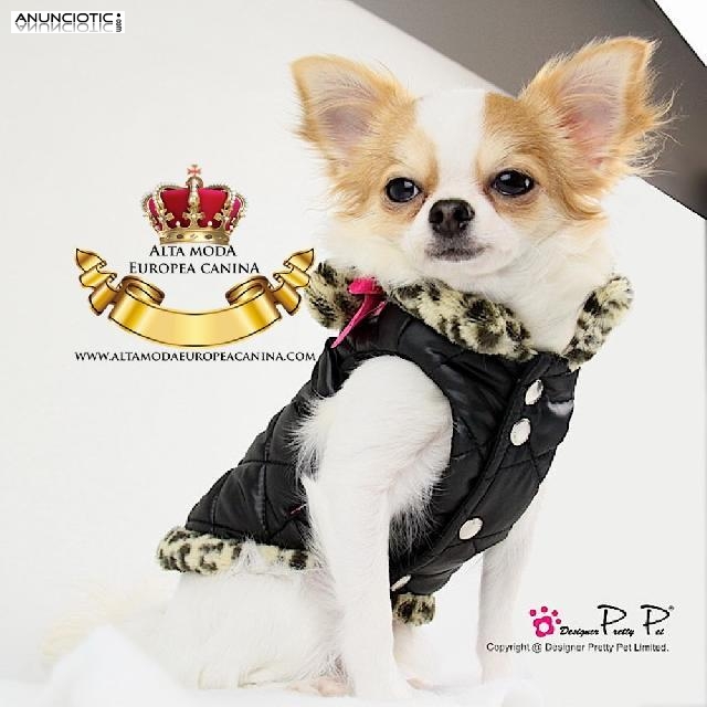 Abrigos Perros Peque&ntilde;os