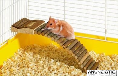 Escalera flexible de madera para roedore