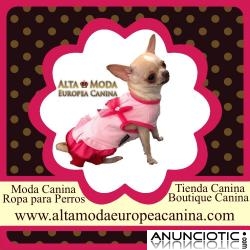 Descubre Ropa para Perros de Dise&Atilde;&plusmn;o