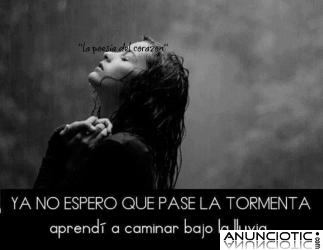 PONGO MI DON A TU DISPOSICI&Oacute;N