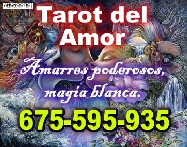 Tarot por tel&eacute;fono, tarot visa. 