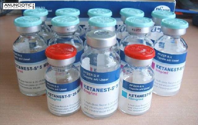 Comprar hongos m&aacute;gicos, Keta, MDMA, Adderall, &eacute;xtasis, etc....