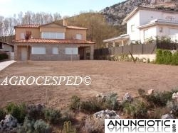 Agrocesped. C&eacute;sped natural en rollos o tepes para C&aacute;ceres