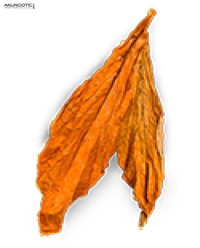 Hoja Natural de tabaco desde 12� kg 633438735