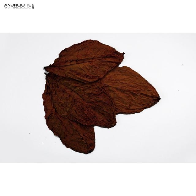 Hoja Natural de tabaco desde 12� kg 633438735