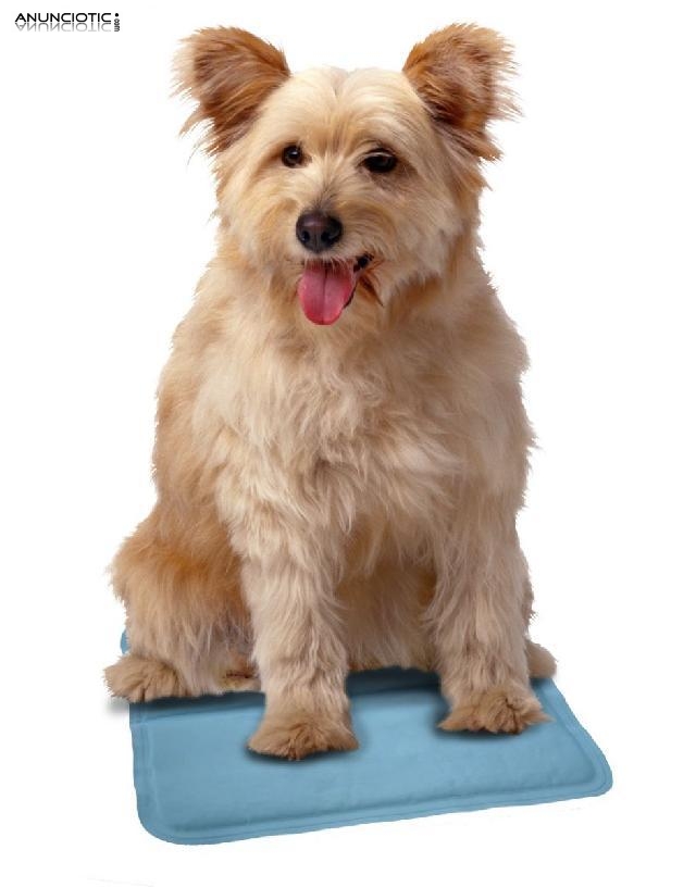 Coj&iacute;n enfriador para mascotas Snugglesafe Cool Pad