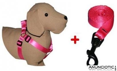 Conjunto arn&eacute;s de pecho y correa