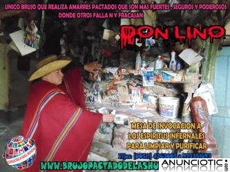 AMARRES DE AMOR - DON LINO EN ESPA&Ntilde;A