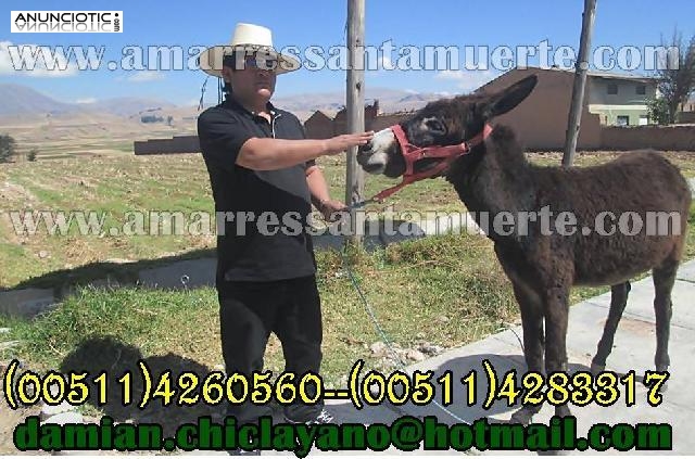 EL AMARRE DE AMOR M&Aacute;S PODEROSO DEL MUNDO MEXICO