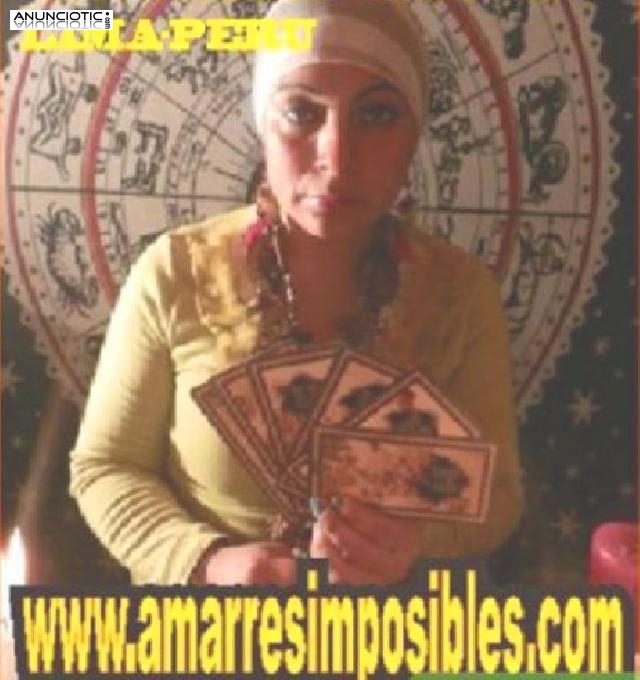 amarres y embrujos de amor 
