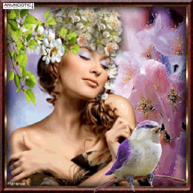 EL MEJOR TAROT 806002038 y 806002149 Tarot Econ&oacute;mico: 0,42� Por Min 