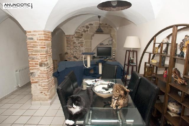 Adosado en venta en c&aacute;ceres
