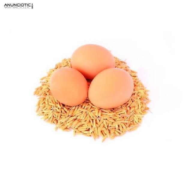 Pienso 95 % ecol&oacute;gico para gallinas