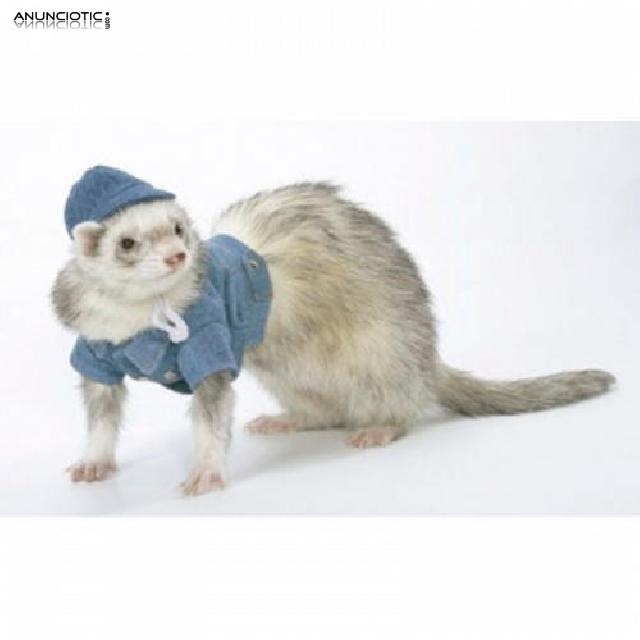 Cazadora vaquera azul para hur&oacute;n