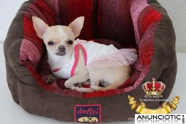 Camas y Cubas para Perros Peque&Atilde;&plusmn;os