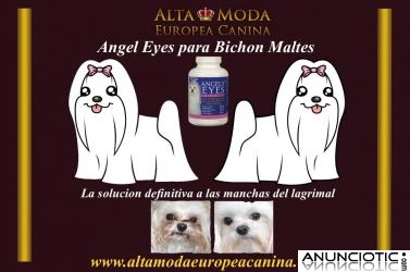 Angel Eyes para Perros, limpia el lagrimal por completo del bichon maltes