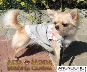 Ropa Verano para Perros