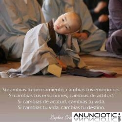 DAME TU MANO Y D&Eacute;JATE LLEVAR