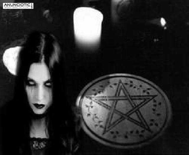 Consulta breve y concisa