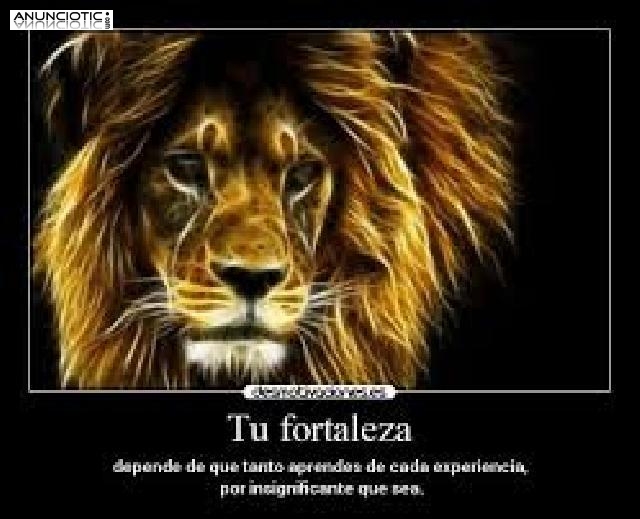 Aqu&iacute; su tarot.Excelentes Ofertas.Gracias