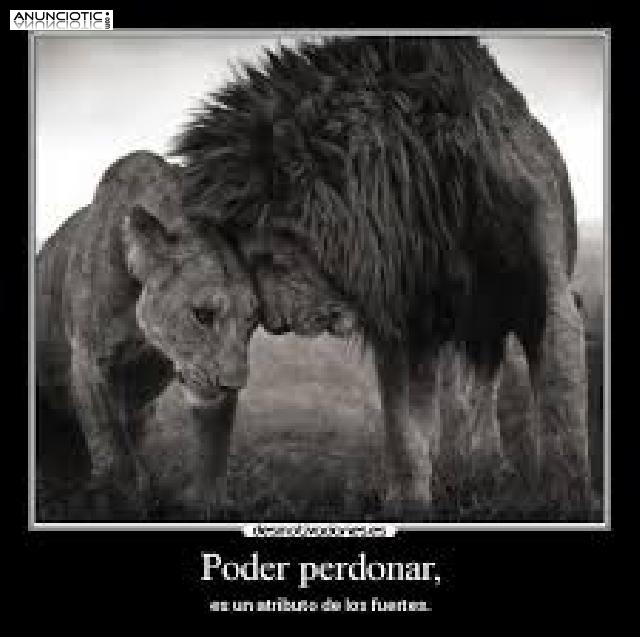 Aqu&iacute; su tarot.Excelentes Ofertas.Gracias