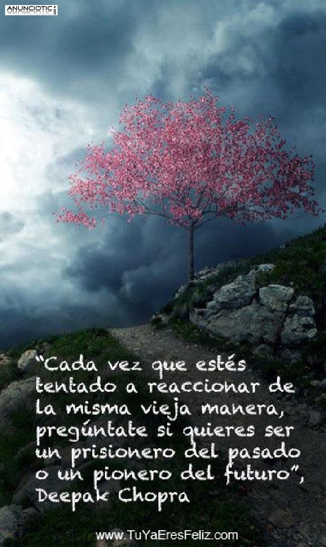 Tarot Evolutivo.42 C&eacute;ntimos Minuto.