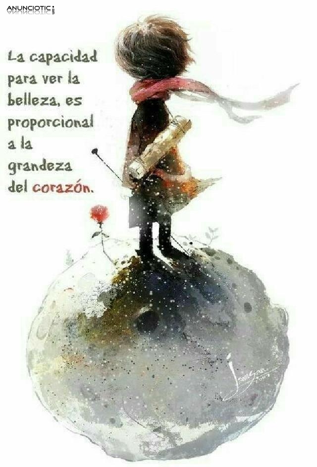 Tarot De La Madre Paz