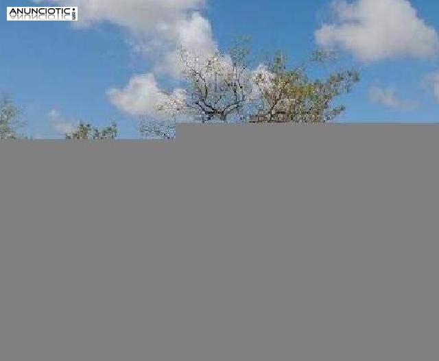 Vacaciones de ensue&ntilde;o