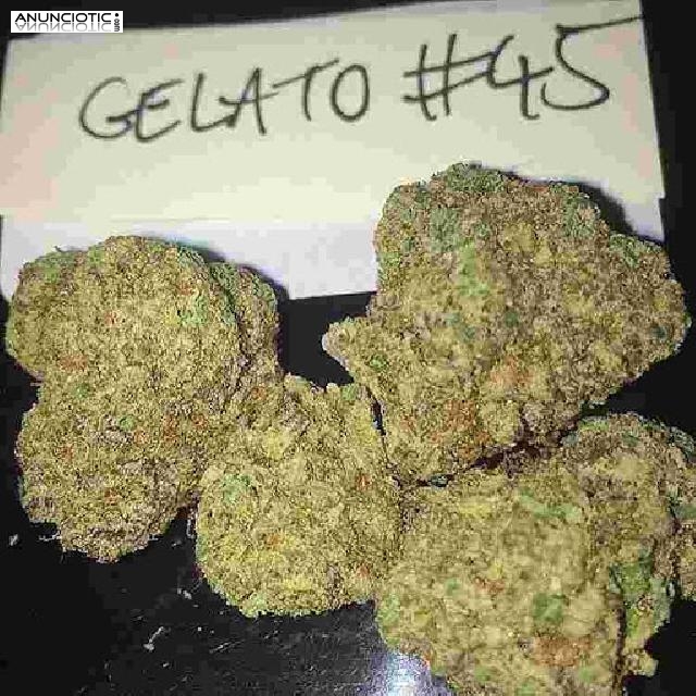 La entrega es muy efectiva en cualquier lugar de Espa&ntilde;a.