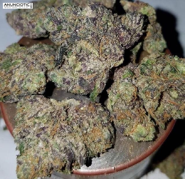 La entrega es muy efectiva en cualquier lugar de Espa&ntilde;a.