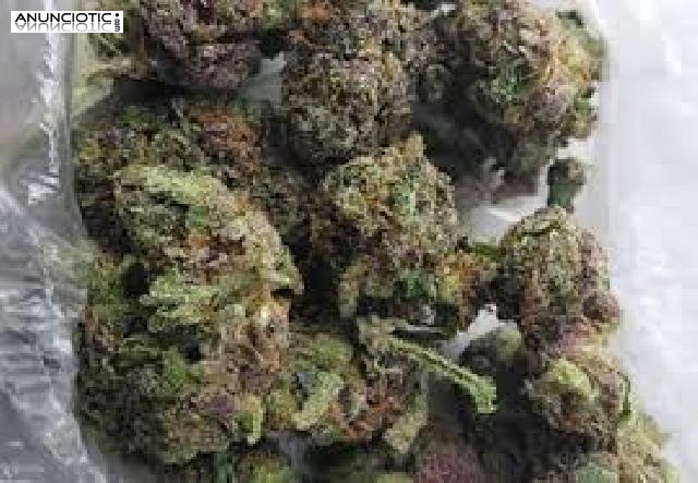 La entrega es muy efectiva en cualquier lugar de Espa&ntilde;a.