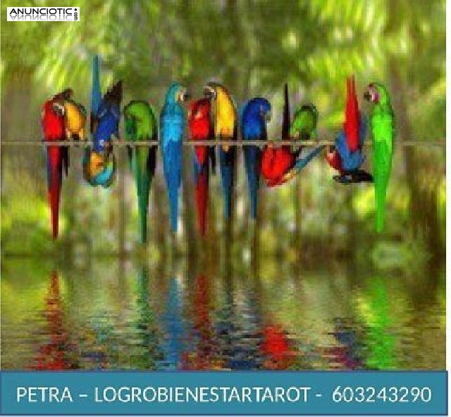 Tarot Economico  bueno  ​​petra 930135564 logrobienestartarot