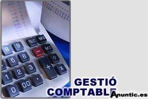 Venda p&agrave;gina web serveis comptables