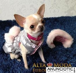 Ropa Perros Peque&ntilde;os