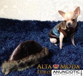 abrigos para perros, moda canina perros peque&Atilde;&plusmn;os