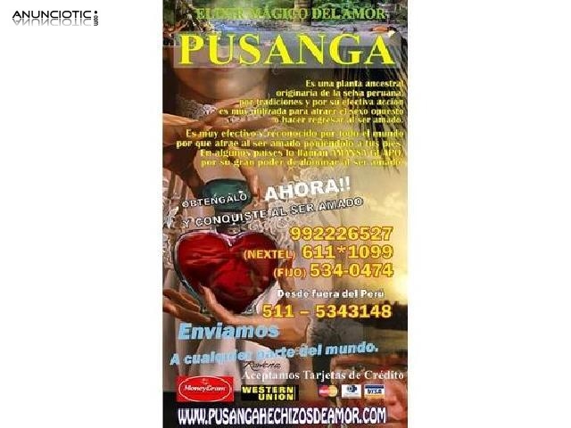 Pusanga selv&aacute;tica cura hechizos negros