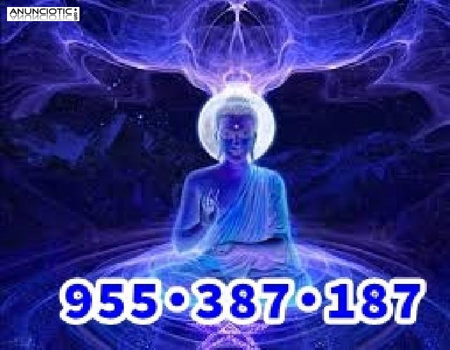 .Tarotistas profesionales 8.5� 30min