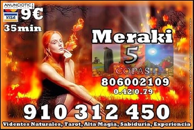  100% PROFESIONALES 910312450-806002109 