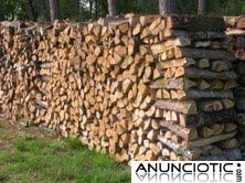  &nbsp;&nbsp;&nbsp;&nbsp;&nbsp;&nbsp;&nbsp;&nbsp;LE&Ntilde;A