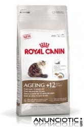 Royal Canin Feline Ageing +12 Seco