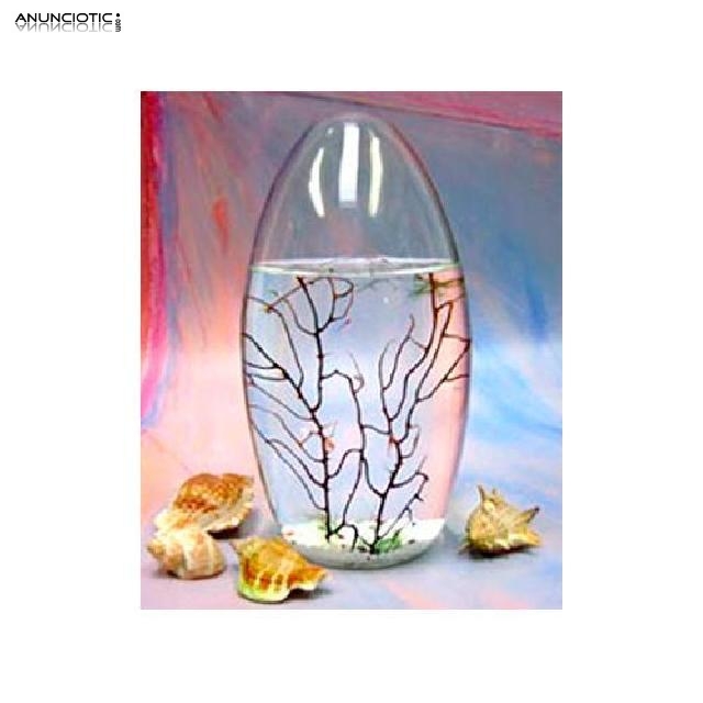 Ecosfera ovalada peque&ntilde;a