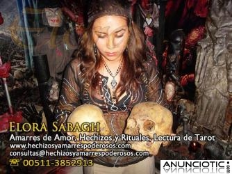 DESTRUYO TODO DA&Ntilde;O Y MALEFICIO