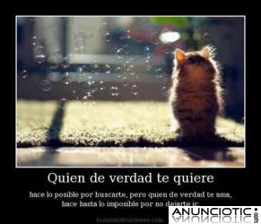 Campa&ntilde;a especial Tarot San Valent&iacute;n