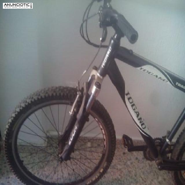 BICICLETA DE MONTA&Ntilde;A 2