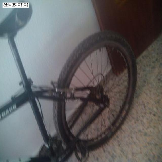 BICICLETA DE MONTA&Ntilde;A 2